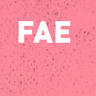 Fae CMS